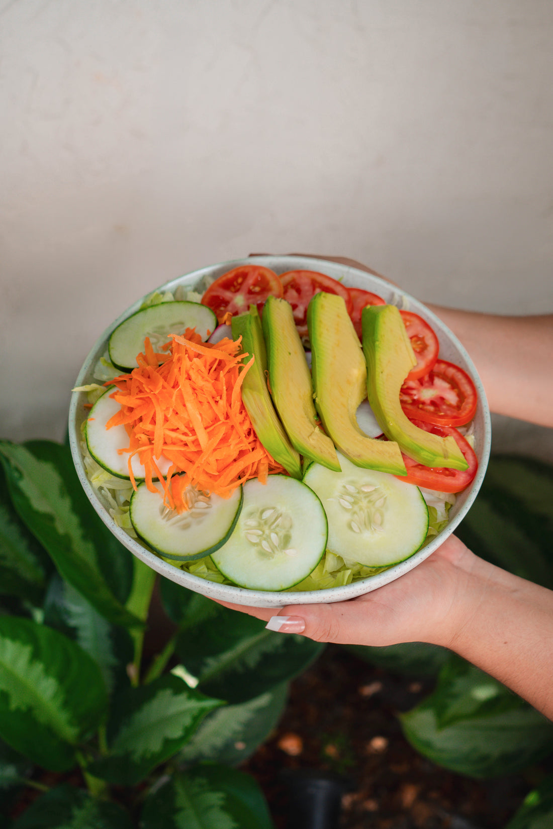 Ensalada Fresca