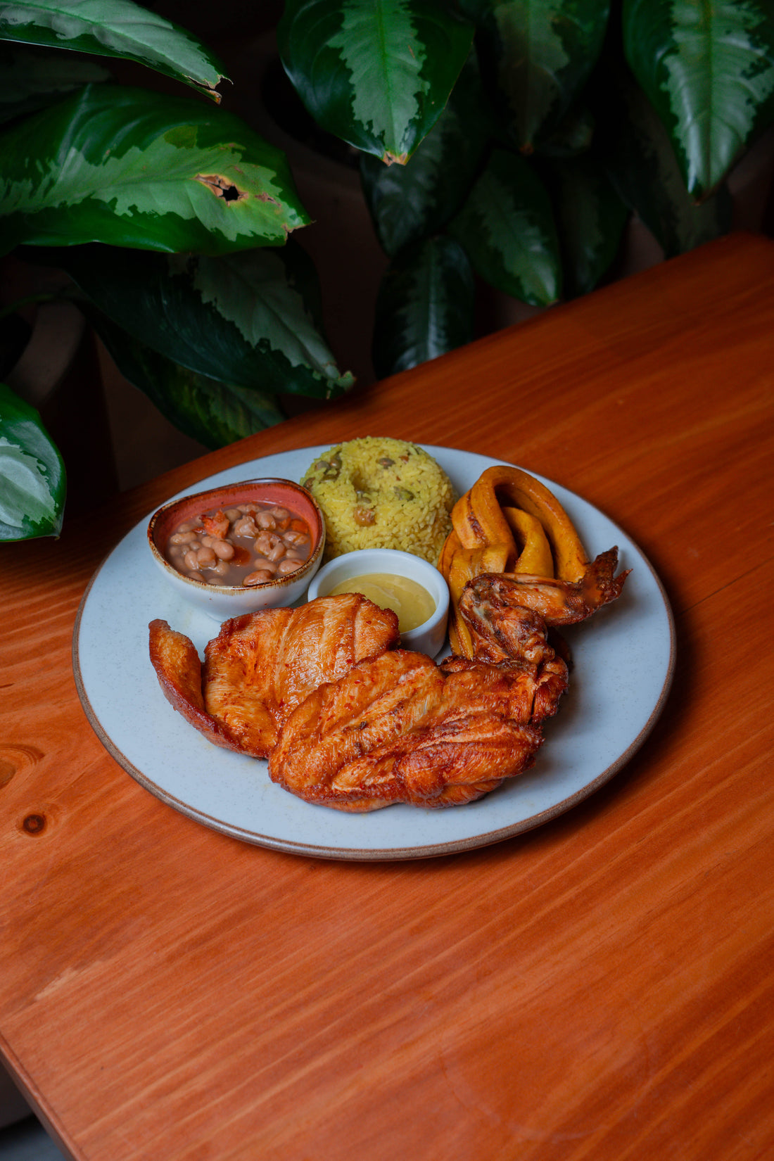 Pollada Tarapotina